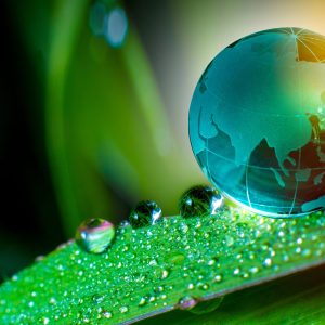 Renewable energy concept Earth Day or environment protection Hands protect forests that grow on the ground and help save the world.